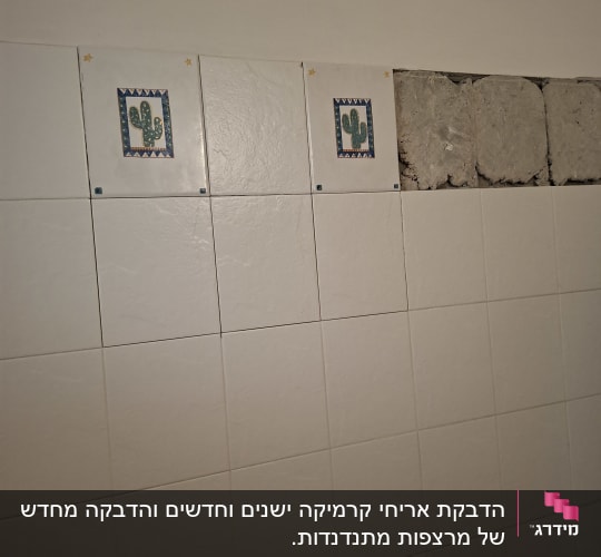 אריחי קיר עם עיצוב קקטוס וחלק לא גמור